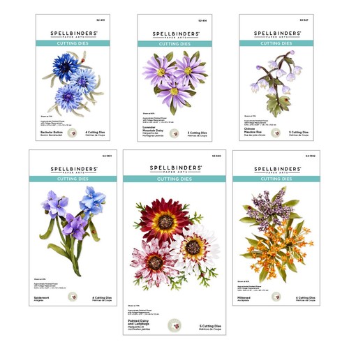Spellbinders die bundle - die, by
